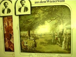 2 LP's: Reihe: Die schönsten Melodien von Johann Strauß: 1. Kaiser Walzer u.a. : Unter Donner und...