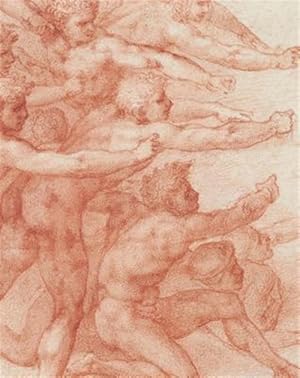 Immagine del venditore per Michelangelo : Divine Draftsman and Designer venduto da GreatBookPrices