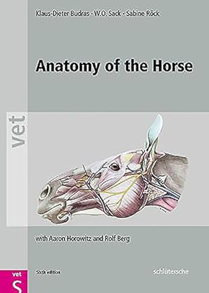Imagen del vendedor de Anatomy of the Horse a la venta por GreatBookPrices