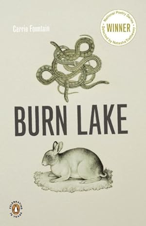 Immagine del venditore per Burn Lake venduto da GreatBookPrices