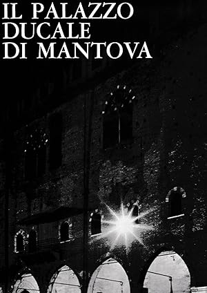 Image du vendeur pour Il Palazzo Ducale di Mantova mis en vente par librisaggi