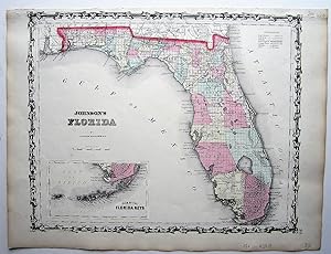 Johnsons Florida by Johnson & Browning.