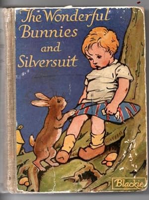 The Wonderful Bunnies and Silversuit