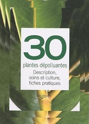 30 plantes dépolluantes