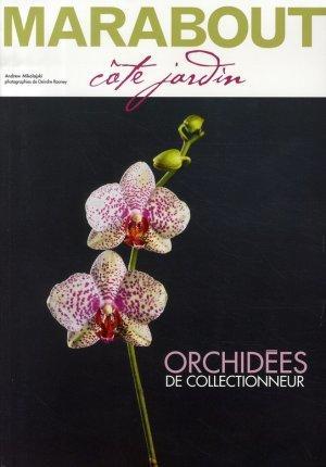 Spécial Orchidées