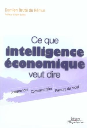 Ce que intelligence économique veut dire. comprendre, comment faire, prendre du recul