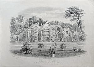 Seller image for Clevedon Court. for sale by theoldmapman