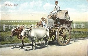 Image du vendeur pour Postkarte Carte Postale Landwirtschaft Cotton Cart Indien Bullen mis en vente par Versandhandel Boeger