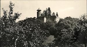 Bild des Verkufers fr Postkarte Carte Postale Arlesheim Schloss Birseck zum Verkauf von Versandhandel Boeger