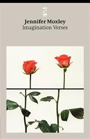 Immagine del venditore per Imagination Verses venduto da GreatBookPrices