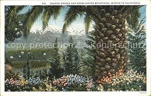 Bild des Verkufers fr Postkarte Carte Postale Los Angeles California Winter in California orange groves and snow capped mountains zum Verkauf von Versandhandel Boeger