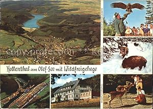 Bild des Verkufers fr Postkarte Carte Postale Hellenthal Eifel Olef-See Wildfreigehege Greifvogelwarte Schwarzwild zum Verkauf von Versandhandel Boeger