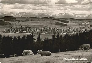 Postkarte Carte Postale Obergünzburg Panorama Viehweide