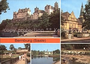 Bild des Verkufers fr Postkarte Carte Postale Bernburg Saale Schloss Kreiskulturhaus Eiscafe Brenburg Indianerdorf Tierpark zum Verkauf von Versandhandel Boeger