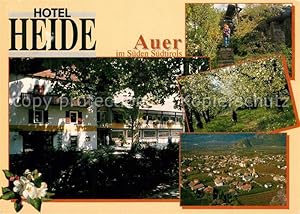 Postkarte Carte Postale Auer Ora Südtirol Hotel Heide Treppe Wald Panorama