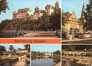 Bild des Verkufers fr Postkarte Carte Postale Bernburg Saale Schloss Kreiskulturhaus Brenburg Indianerdorf Tierpark zum Verkauf von Versandhandel Boeger