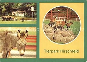 Bild des Verkufers fr Postkarte Carte Postale Tiere Tierpark Hirschfeld Schweizerhaus Esel Muffelwild zum Verkauf von Versandhandel Boeger
