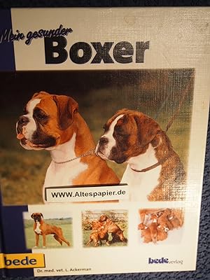 Seller image for Mein gesunder Boxer. for sale by Versandantiquariat Ingo Lutter