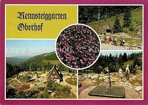 Seller image for Postkarte Carte Postale Oberhof Thringen Rennsteiggarten Gebirgsflora Wandern Berghaus for sale by Versandhandel Boeger