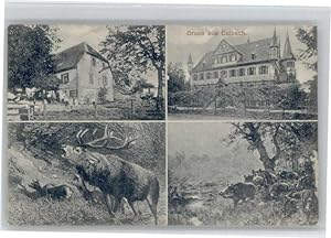 Postkarte Carte Postale Eulbach Hirsch x
