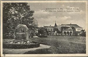 Postkarte Carte Postale 10270008 Sommerfeld Lubsko Schloss Dolzig x 1919 Sommerfeld Lubsko