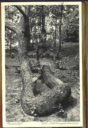 Bild des Verkufers fr Postkarte Carte Postale 40376943 Bendestorf Bendestorf Schlangenbaum x 1942 Bendestorf zum Verkauf von Versandhandel Boeger