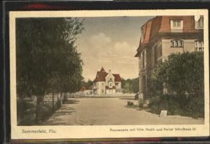 Postkarte Carte Postale 40490651 Sommerfeld Lubsko Villa Hecht Schule ungelaufen ca. 1920 Sommerf...