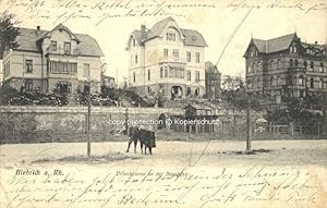 Postkarte Carte Postale 40520127 Biebrich Wiesbaden Biebrich Villenkolonie Regattastrasse x 1911 ...