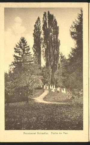 Seller image for Postkarte Carte Postale 10547125 Vevey VD Vevey (Verlag J. Noseda) Pensionat Schindler Park ungelaufen c for sale by Versandhandel Boeger