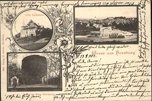 Postkarte Carte Postale 40866721 Boerssum Boerssum Villa Baethmann Ruine Hornburg x Boerssum