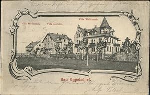 Postkarte Carte Postale 40900087 Bad Oppelsdorf Opolno Zdroj Bad Oppelsdorf Villa Hoffnung Villa ...
