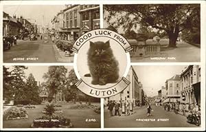 Postkarte Carte Postale 10928222 Luton Luton George Street Wardown Park Manchester Street Katze x...