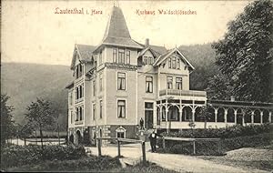 Postkarte Carte Postale 41080675 Lautenthal Harz Kurhaus Waldschloesschen Langelsheim