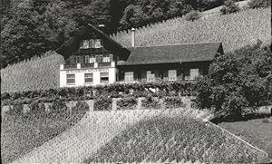 Postkarte Carte Postale 11191321 Weiningen ZH Restaurant Winzerhaus Weiningen ZH