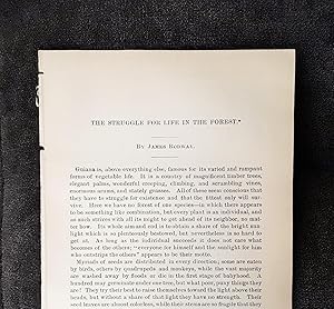 Seller image for The Struggle For Life In The Forest for sale by Legacy Books II