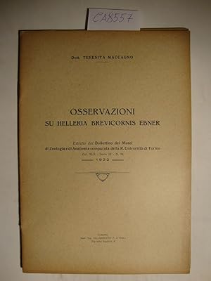 Osservazioni su Helleria Brevicornis Ebner