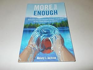 Seller image for More Than Enough: Miraculous Provision Revealed Through C-U at Home for Our Friends Without an Address for sale by Paradise Found Books