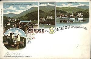 Postkarte Carte Postale 41315062 Goldegg Schloss Pfarrkirche Goldegg mit See Goldegg am See