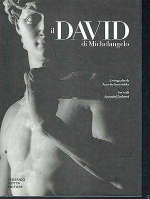 Imagen del vendedor de Il David di Michelangelo. Ediz. illustrata a la venta por iolibrocarmine