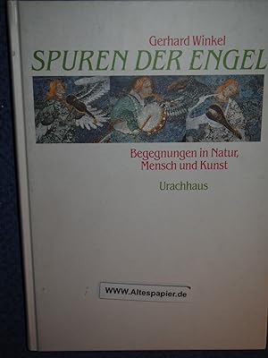 Bild des Verkäufers für Spuren der Engel : Begegnungen in Natur, Mensch und Kunst. zum Verkauf von Versandantiquariat Ingo Lutter
