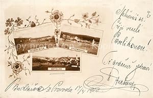 Postkarte Carte Postale 43347927 Netolice Nettolitz Czechia Panorama Petruv Dvur Kratochvil