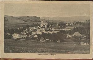 Postkarte Carte Postale 10015334 Giesshuebel Adlergebirge Tschechien