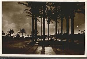Postkarte Carte Postale 11036292 Tripoli Libyen Brunnen bei Nacht Palmen