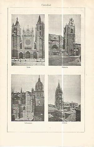 Imagen del vendedor de LAMINA ESPASA 32418: Catedral de Leon, Palencia, Salamanca y Oviedo a la venta por EL BOLETIN