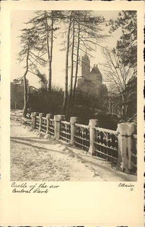 Immagine del venditore per Postkarte Carte Postale 11336661 New York City Central Park Castle of the air in winter New York City venduto da Versandhandel Boeger