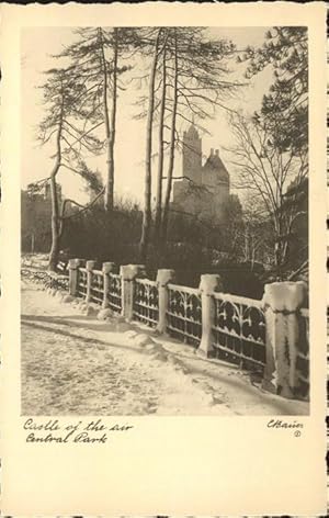 Immagine del venditore per Postkarte Carte Postale 11336658 New York City Central Park Castle of the air in winter New York City venduto da Versandhandel Boeger