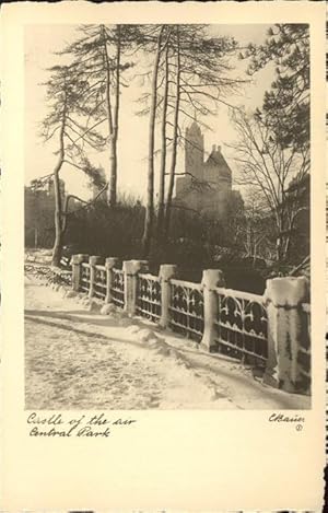 Immagine del venditore per Postkarte Carte Postale 11336663 New York City Central Park Castle of the air in winter New York City venduto da Versandhandel Boeger