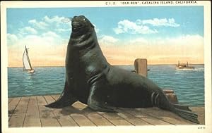 Imagen del vendedor de Postkarte Carte Postale 11368392 Robben Seehunde Old Ben Catalina Island California Tiere a la venta por Versandhandel Boeger