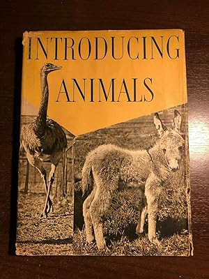 Seller image for INTRODUCING ANIMALS for sale by Happyfish Books