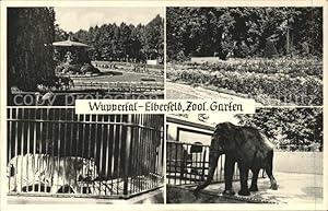 Imagen del vendedor de Postkarte Carte Postale 11591925 Elefant Tiger Zoologischer Garten Wuppertal-Elberfeld Tiere a la venta por Versandhandel Boeger